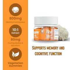 Troomy Lion's Mane Focus Gummies close-up highlights chewy texture and natural flavor.