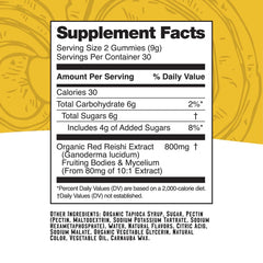 Troomy Reishi Calm Gummies desk-side shot suggests focus break or relaxed pause
