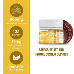 Troomy Reishi Calm Gummies pineapple-peach close-up showing chewy texture