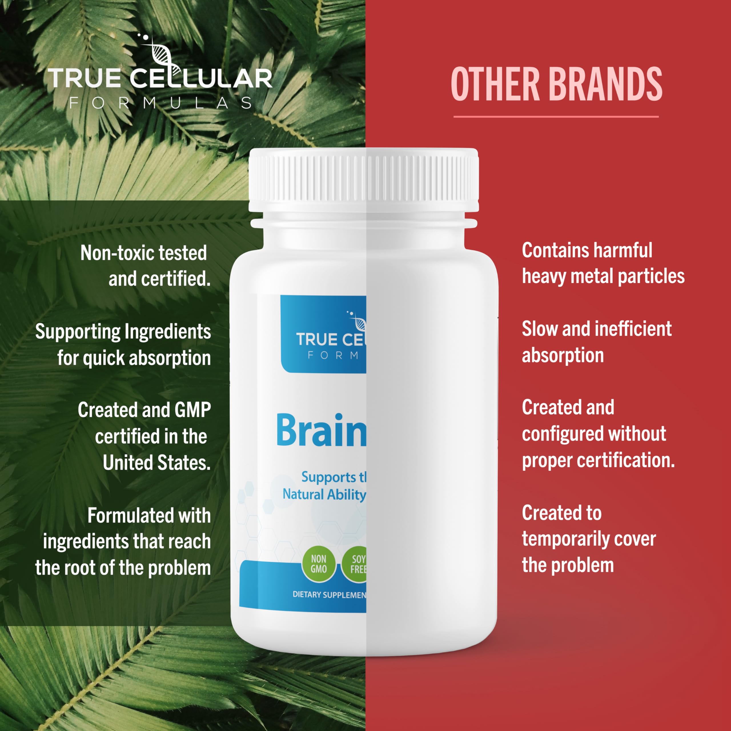 BrainDTX label detail shows Alpha Lipoic Acid and Biotin for antioxidant support