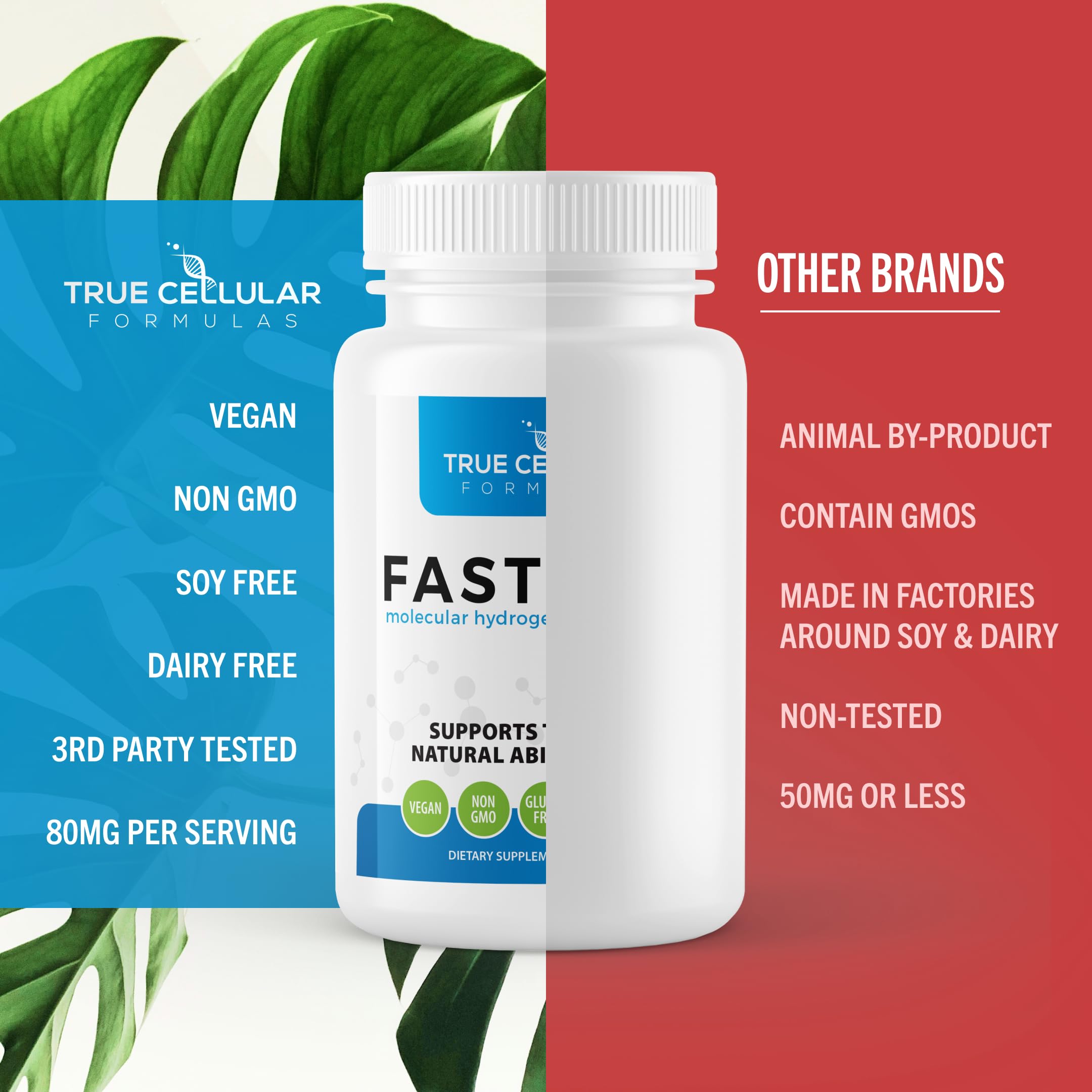 True Cellular Formulas Fastonic on a hike illustrating an active lifestyle use.