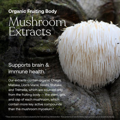 Adaptogenic blend with holy basil and ashwagandha in True Grace