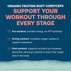 Cordyceps mushroom included in True Grace ElectroMag formula