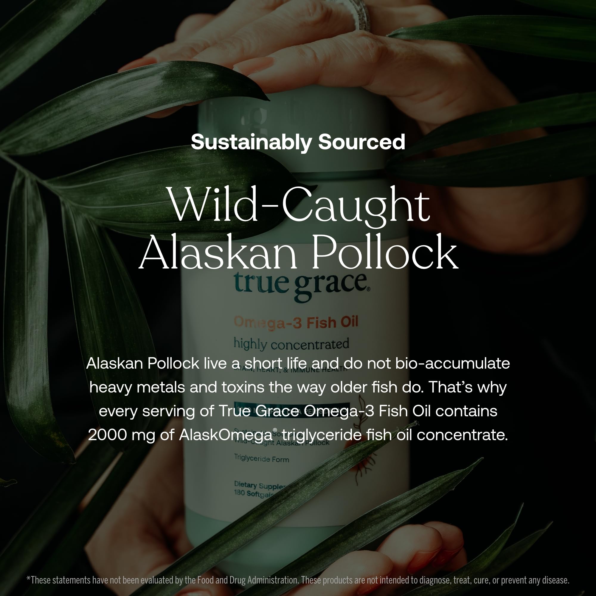 Pouring True Grace Omega-3 bottle illustrating easy daily dosage routine.