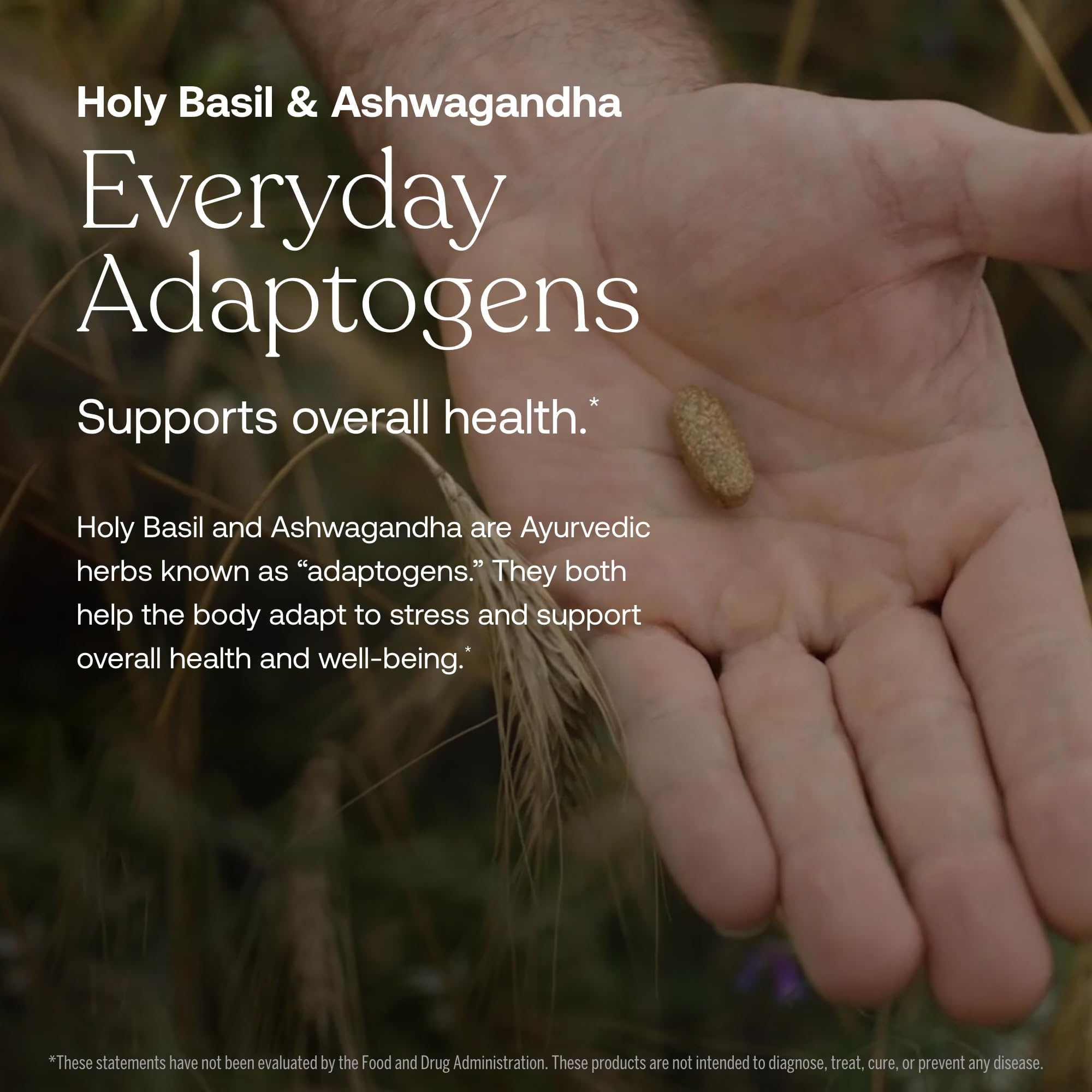 True Grace One Daily adaptogenic herbs with holy basil and ashwagandha.