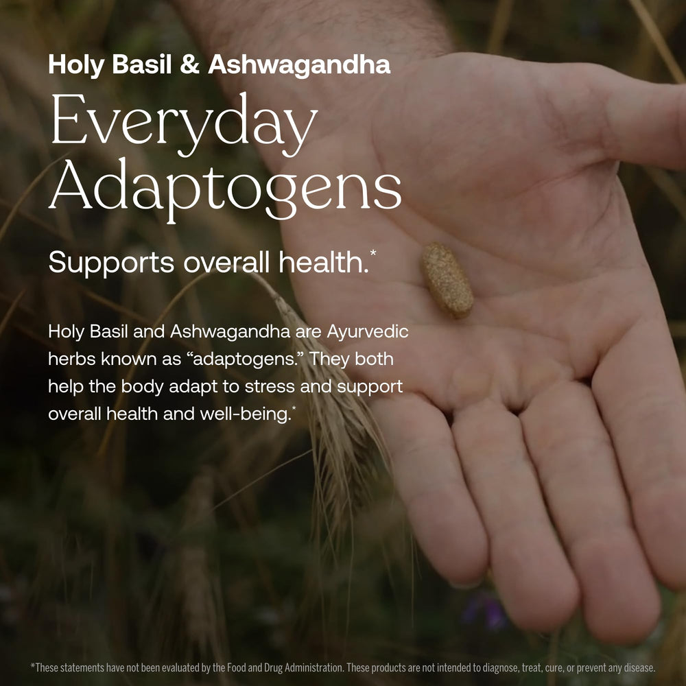 True Grace One Daily adaptogenic herbs with holy basil and ashwagandha.
