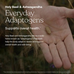True Grace One Daily adaptogenic herbs with holy basil and ashwagandha.