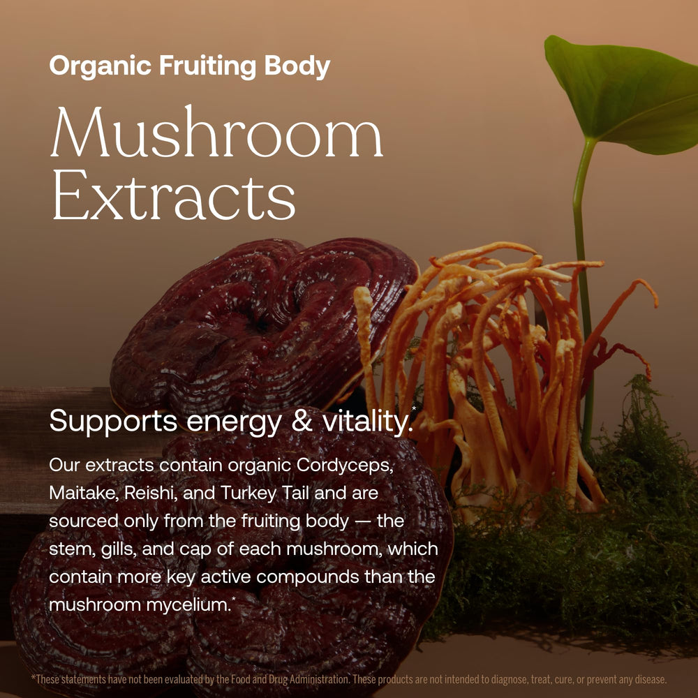 Organic mushroom blend capsules from True Grace for natural wellness support.