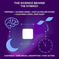 True Life Therapeutics botanical berry flavor profile with monk fruit sweetness.