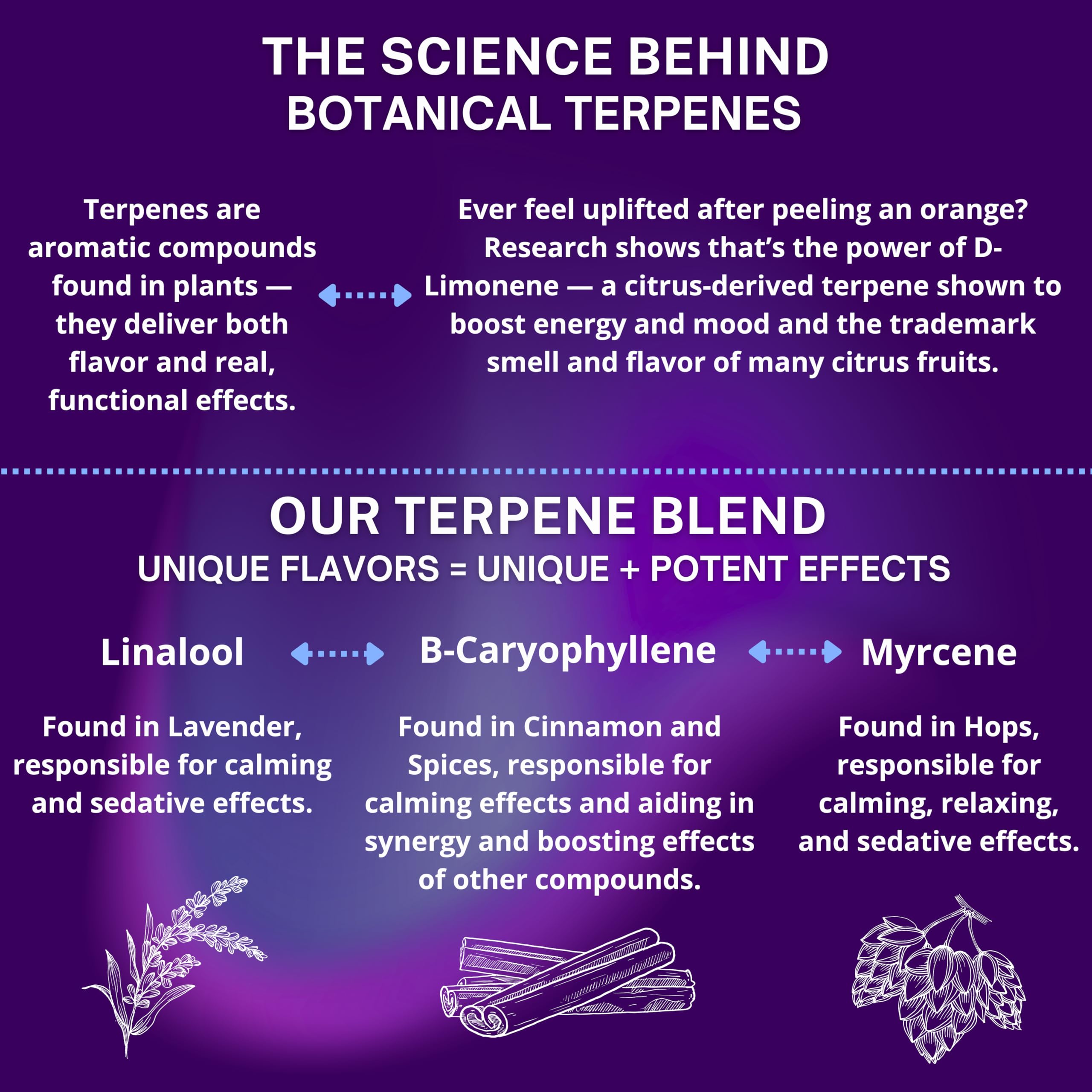 True Life Therapeutics valerian root ingredient spotlight for calmer evenings.