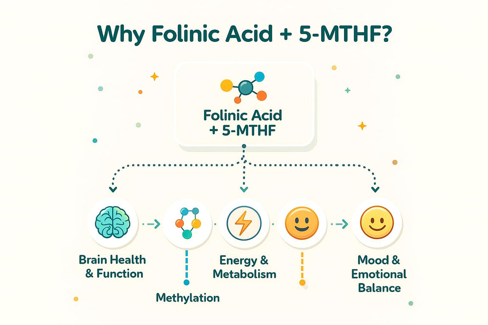 True Reflectionz Folinic Acid Drops dropper for flexible, precise dosing.