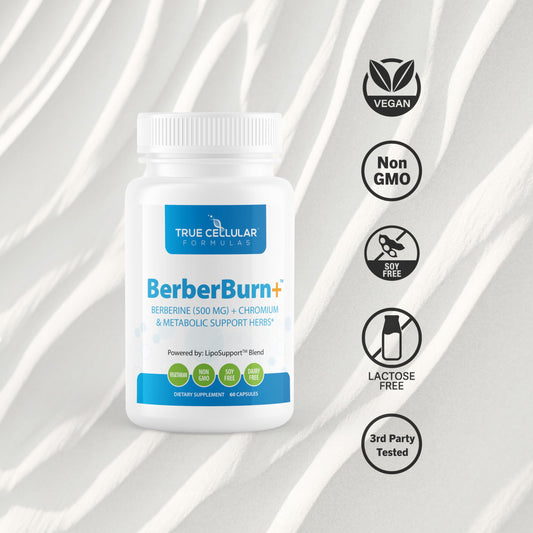 BerberBurn+ capsules held in hand highlight easy daily supplementation.
