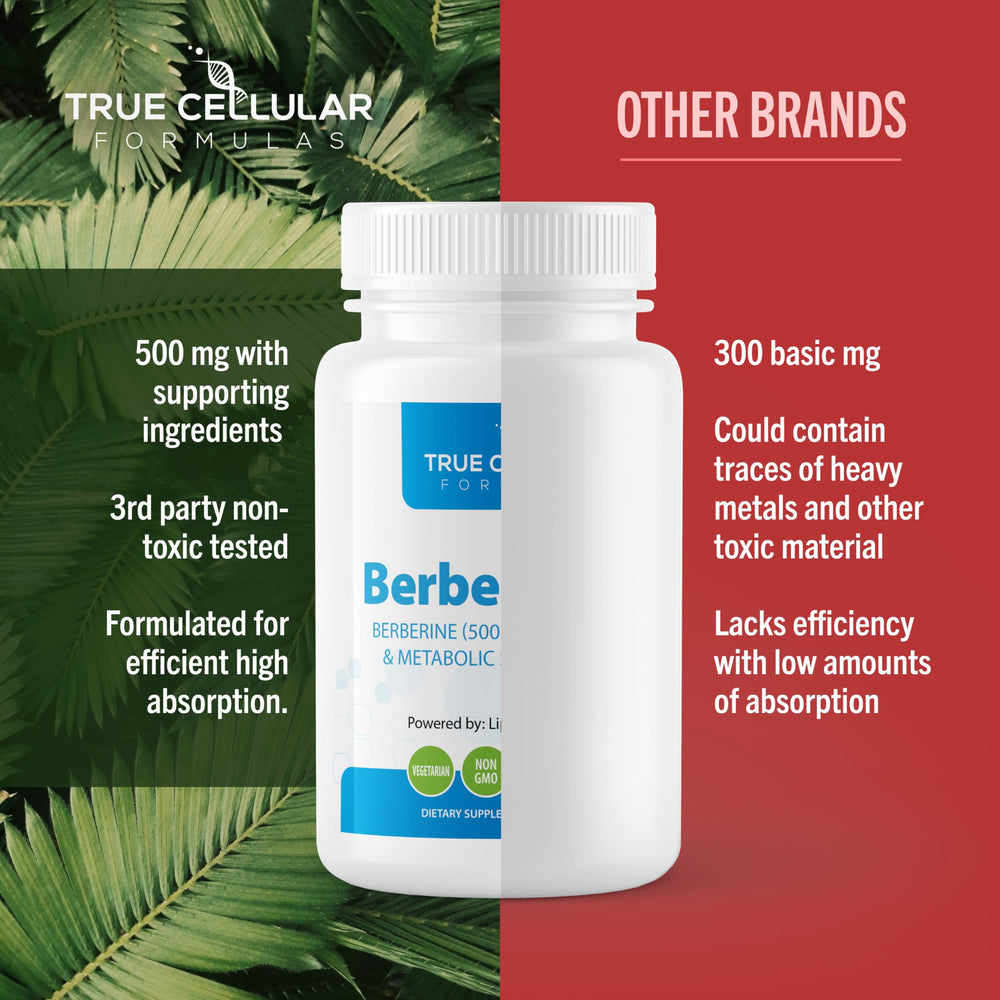 BerberBurn+ daily routine scene conveys steady energy and focus.
