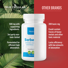 BerberBurn+ daily routine scene conveys steady energy and focus.