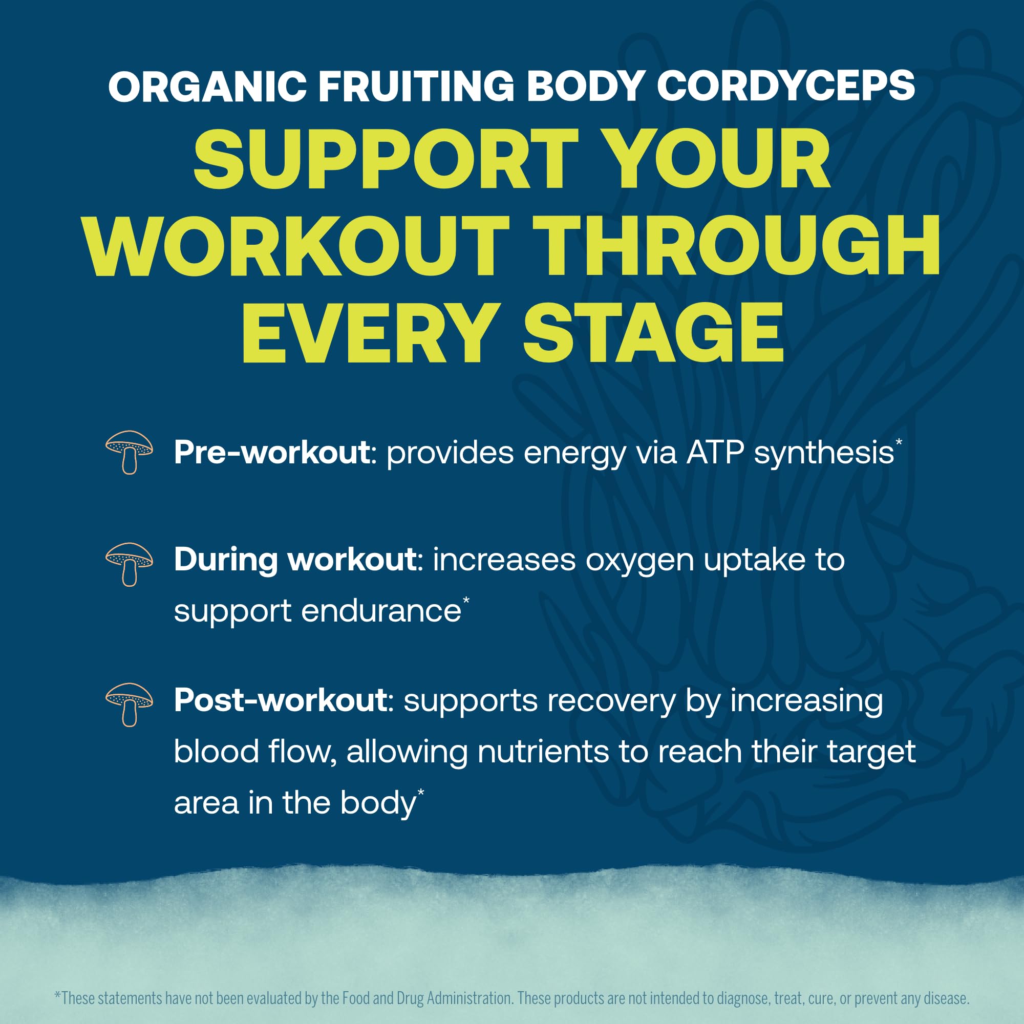 True Grace ElectroMag Non-GMO formula with cordyceps for endurance-supporting nutrition