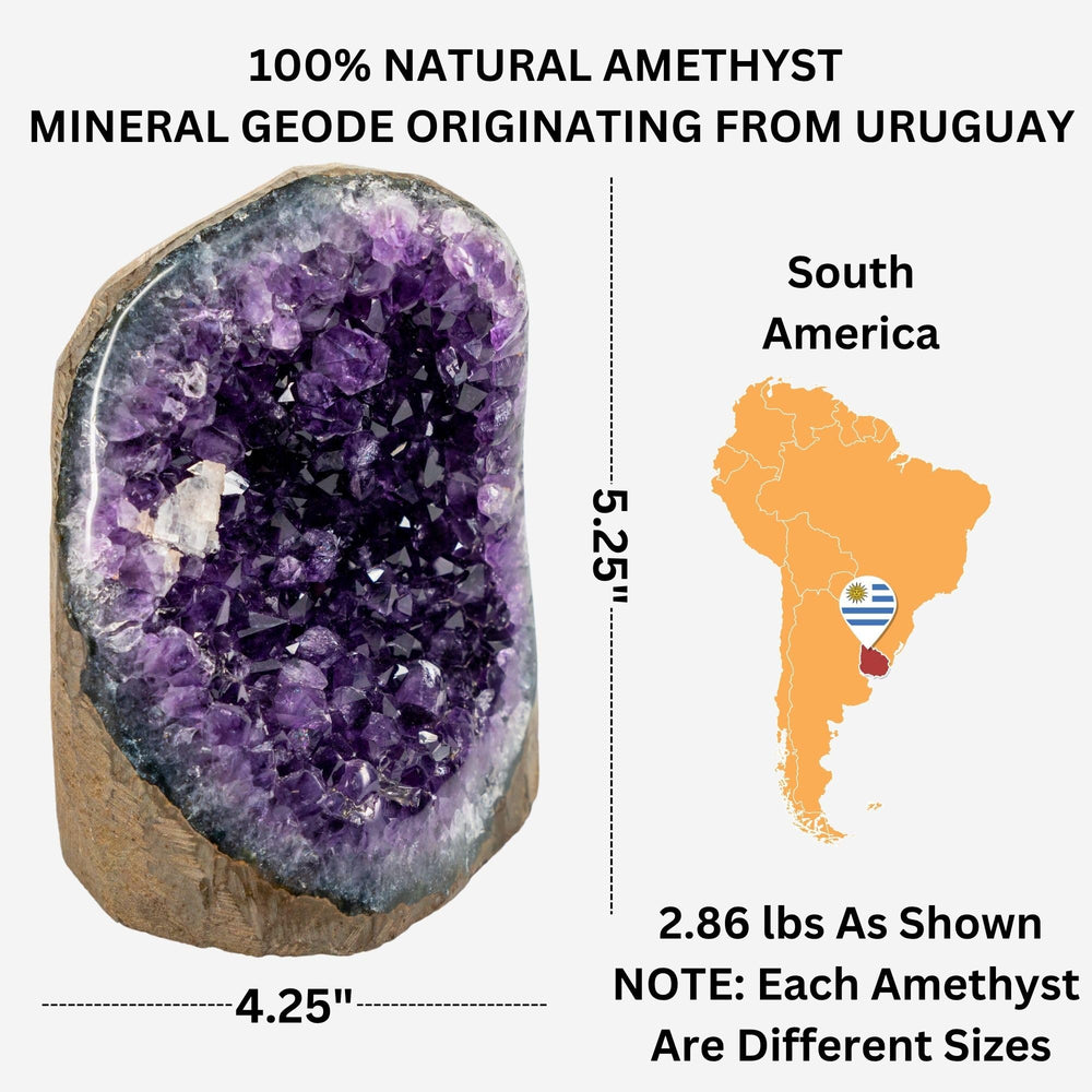 TruEnergy gift-ready crystal with information card offers a thoughtful gift experience.