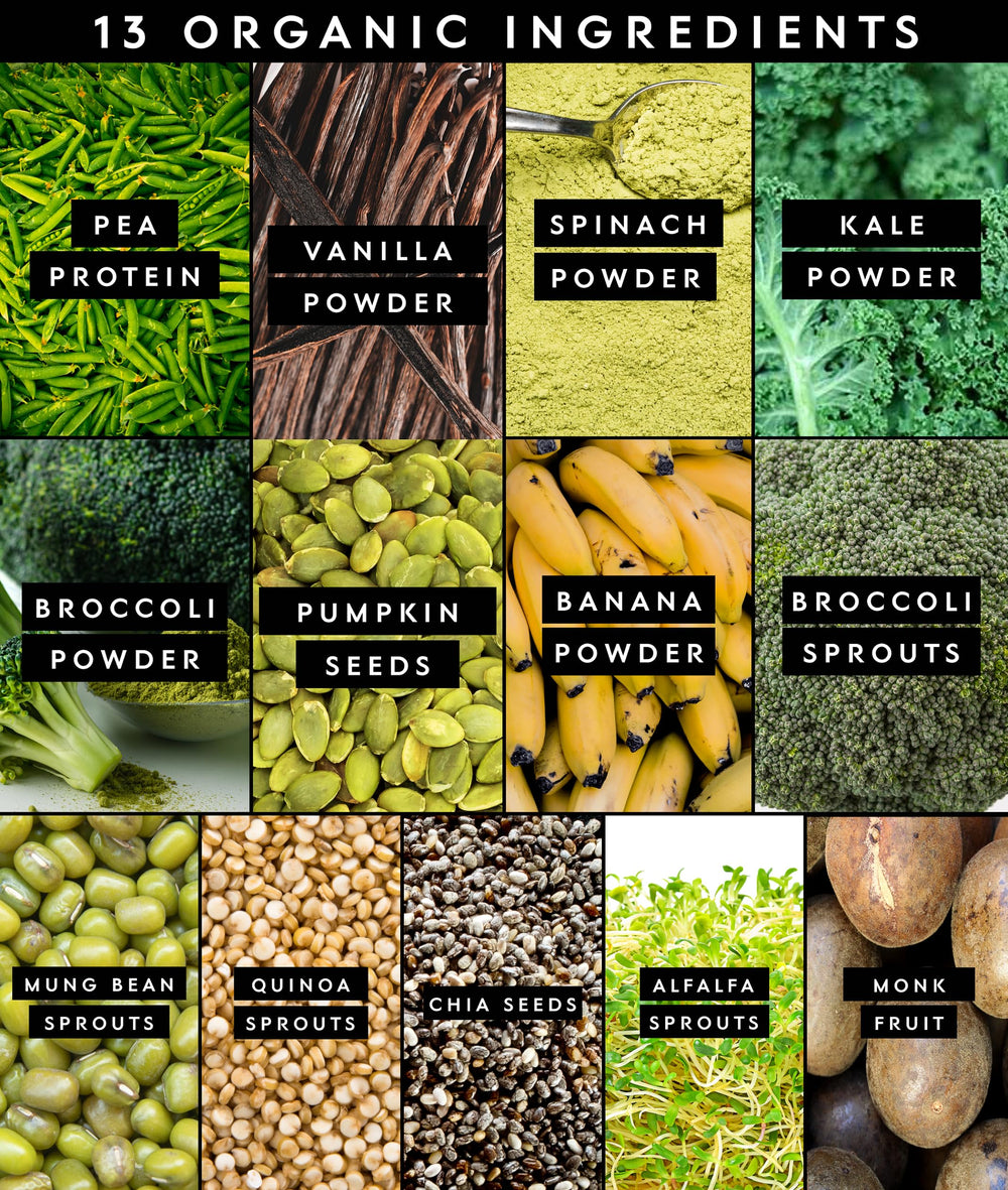 Truvani Protein + Greens nutrition panel shows organic, non-GMO ingredients.