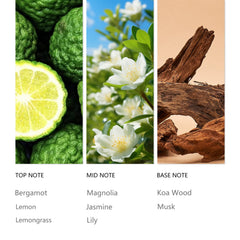 Tuqila Bergamot bottle with diffuser setup for easy fragrance diffusion