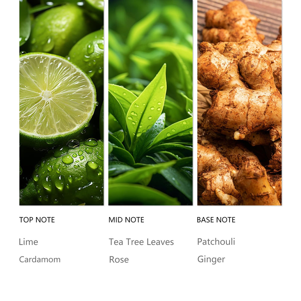 Tuqila Hotel Diffuser Oil Hope in diffuser provides concentrated aroma for steady scent.