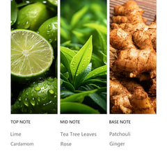 Tuqila Hotel Diffuser Oil Hope in diffuser provides concentrated aroma for steady scent.