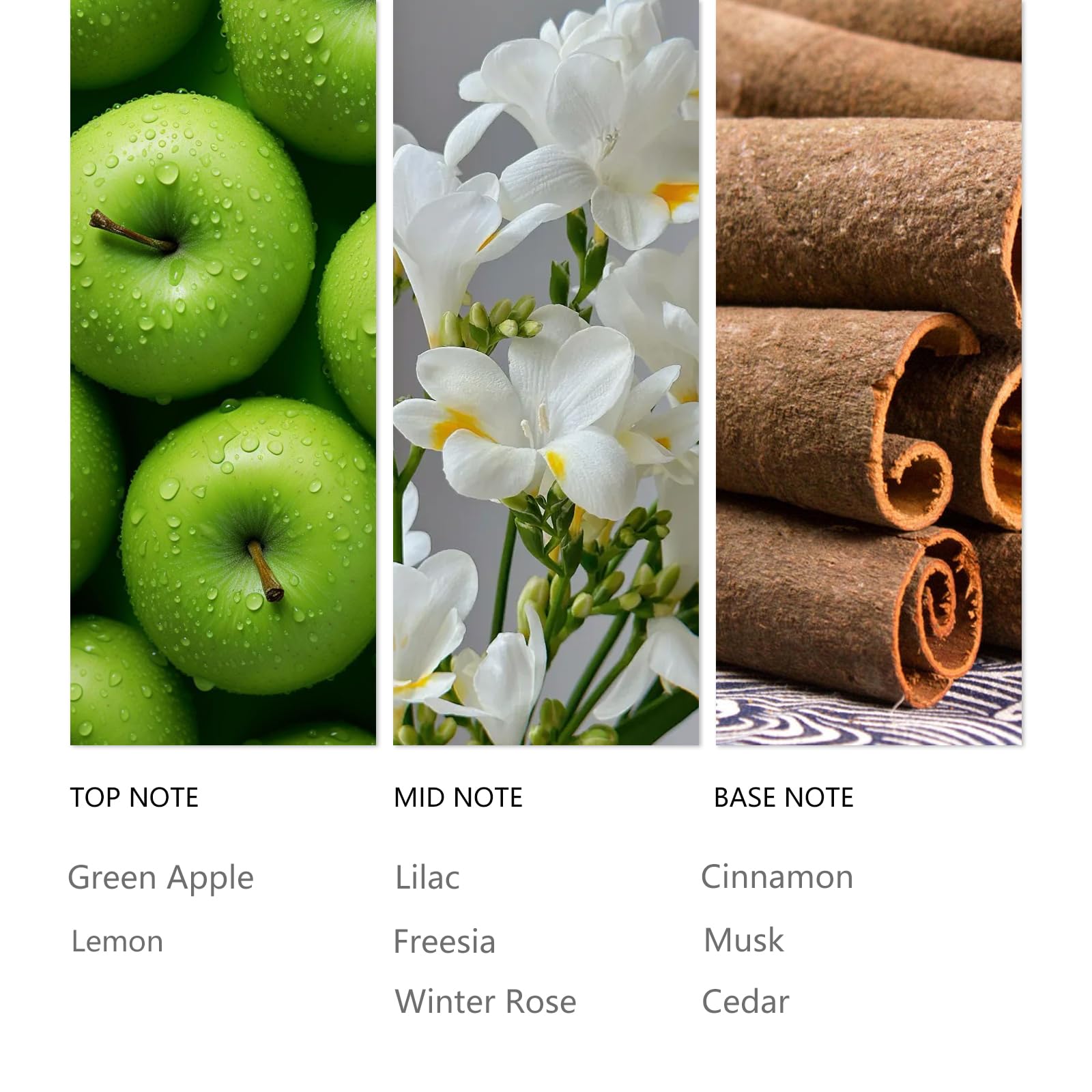 Tuqila spa ambience scene – elevates room with winter notes.
