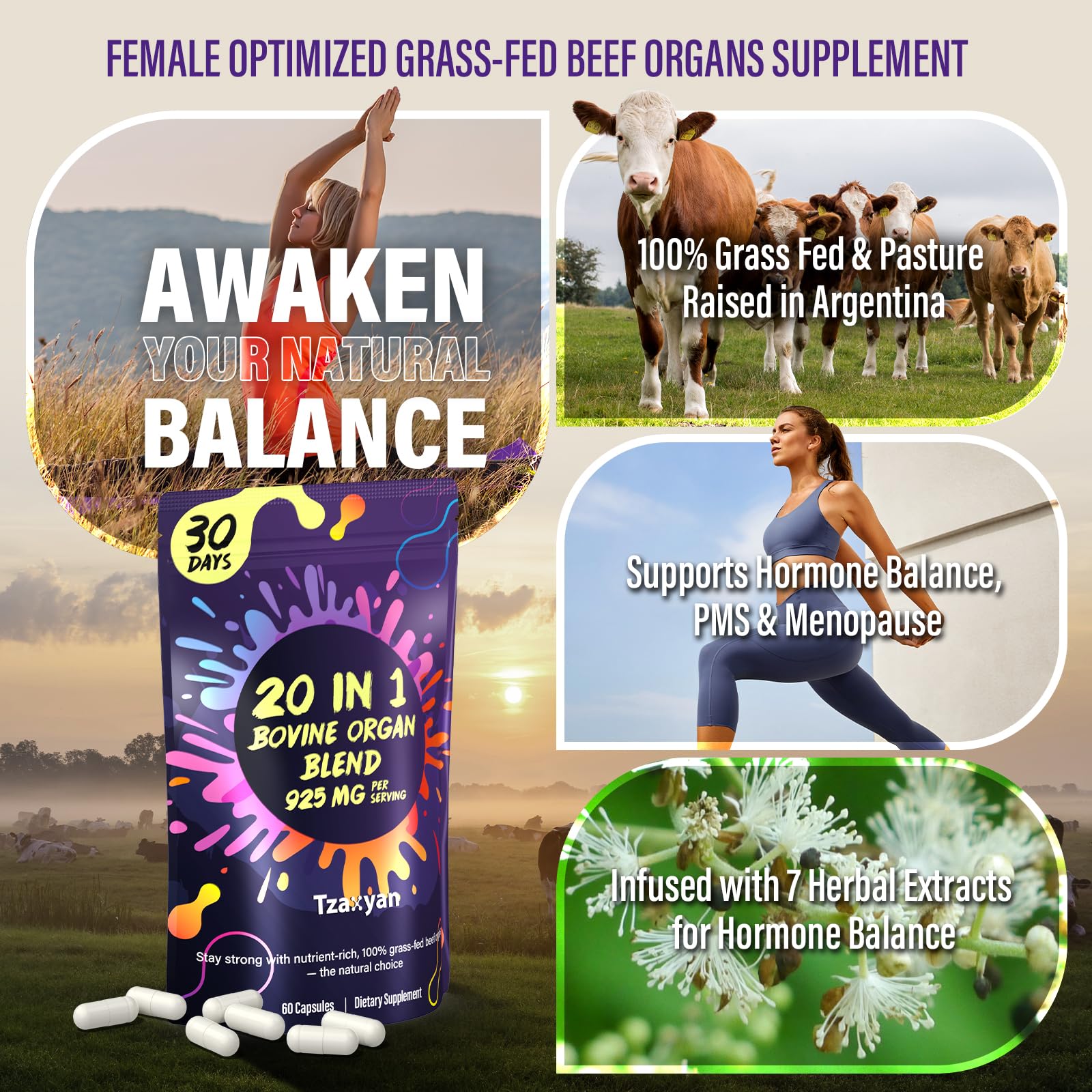 tzaxyan grass-fed beef liver capsules close-up highlighting premium nutrient-dense liver benefits for energy