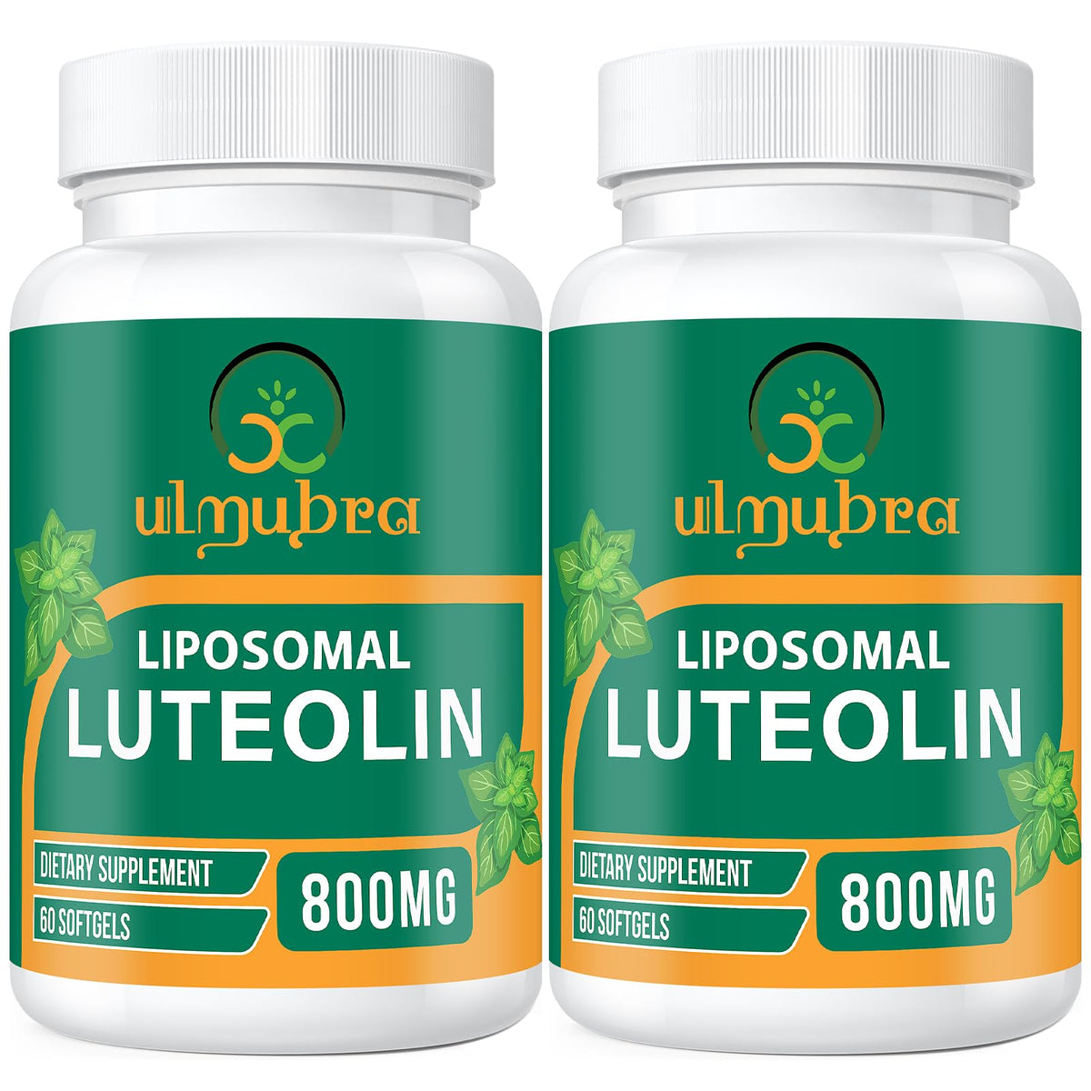 Ulmubra 800MG liposomal luteolin bottle on a clean countertop, premium antioxidant support.