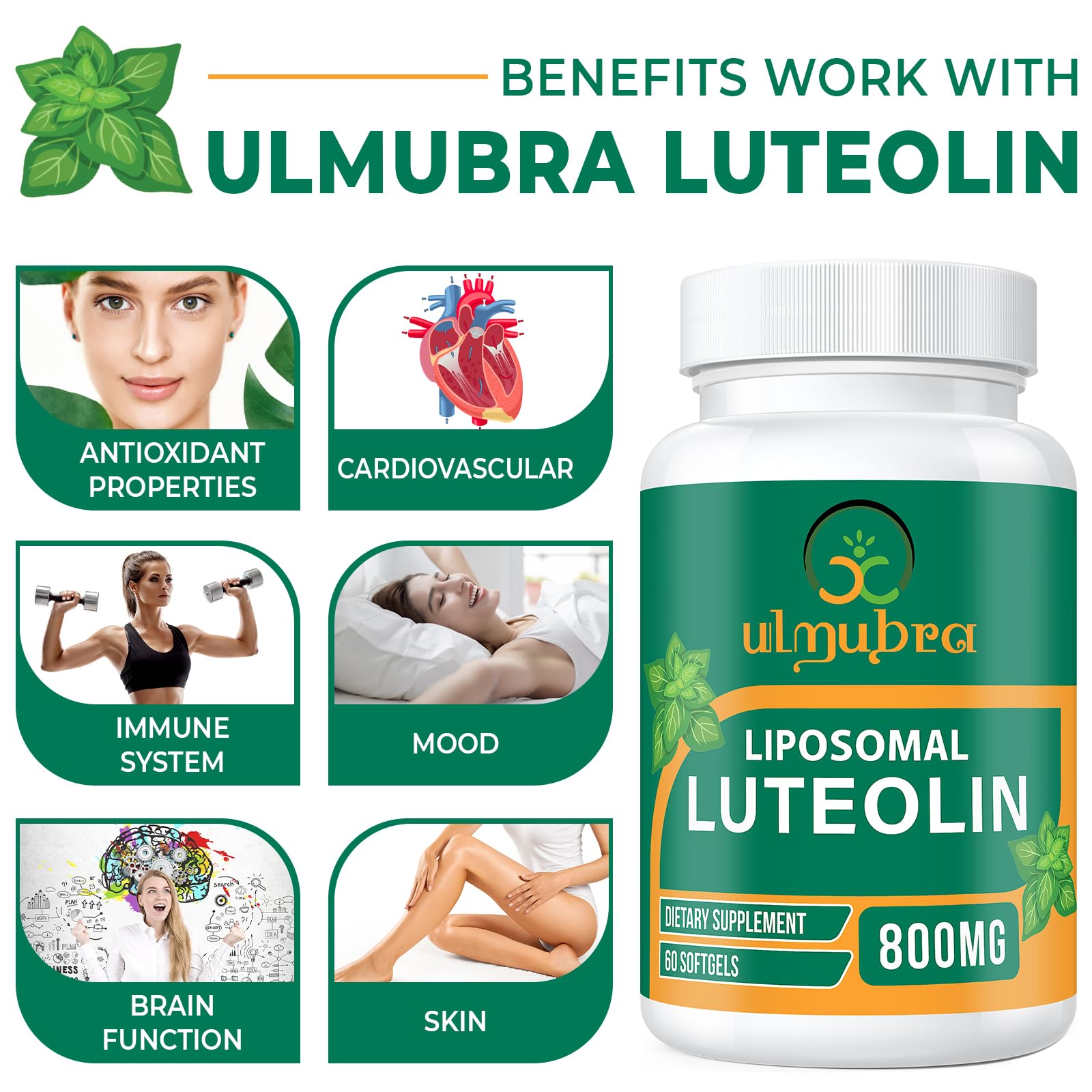 Lifestyle shot of Ulmubra packaging on a desk supporting daily wellness.
