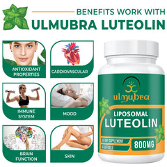 Lifestyle shot of Ulmubra packaging on a desk supporting daily wellness.