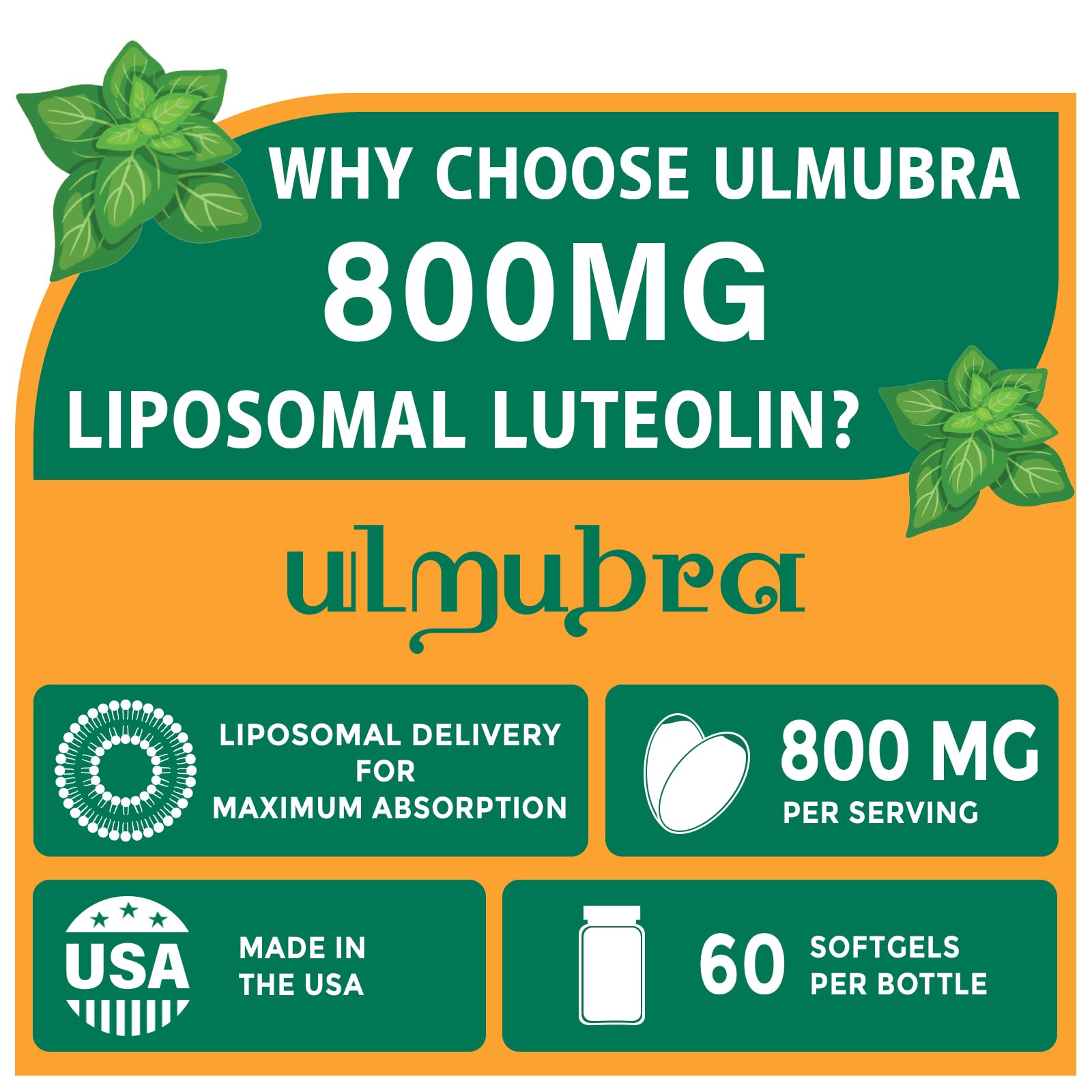 Ulmubra liposomal luteolin softgels close-up, showing the easy-to-swallow capsule.