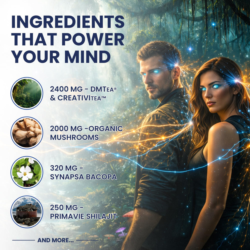 Ultra Human Conscious1 rainforest berry ingredients highlight synapsa bacopa and primaVie shilajit for cognitive support.