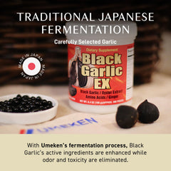 Umeken Black Garlic EX ingredients graphic highlights vitamin B, allicin, and amino acids.