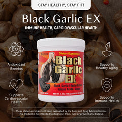Close-up of Umeken Black Garlic EX tablets ready to take with water
