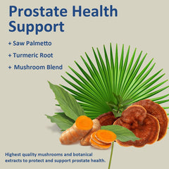 Umizze packaging interior view shows 90-day prostate support and 30-day booster for easy daily use.