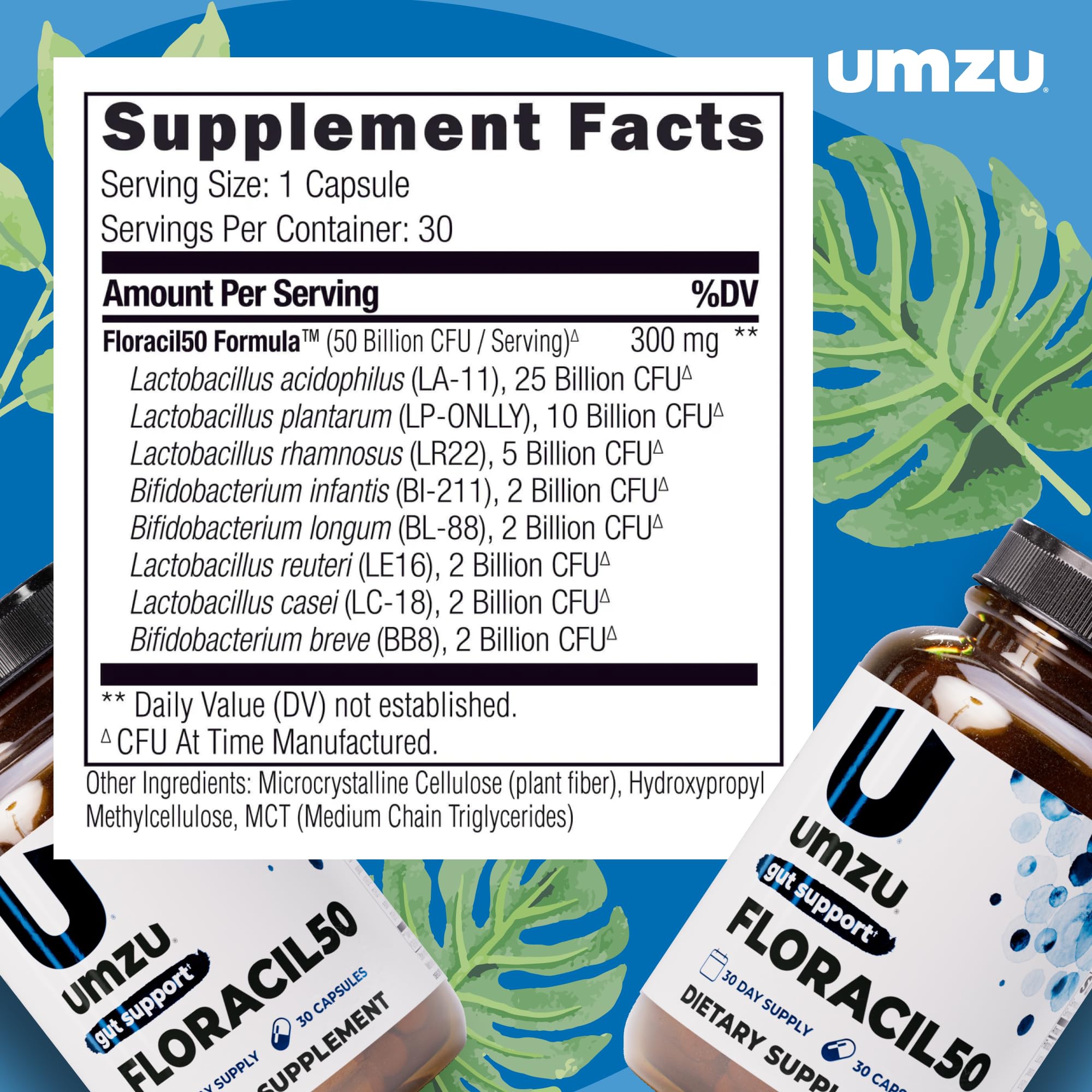 UMZU Floracil50 capsules closeup emphasizing Lactobacillus strains for gut health.