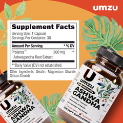Prolanza extended-release packaging showing 24-hour support concept.