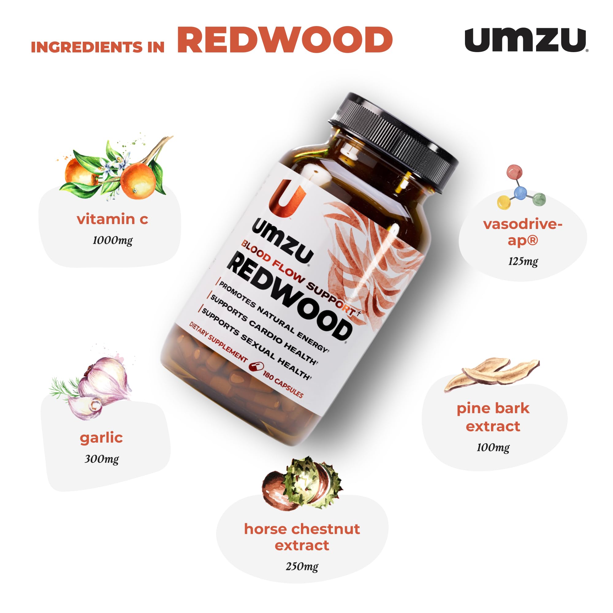 UMZU Redwood horse chestnut focus for vein health and improved blood flow.