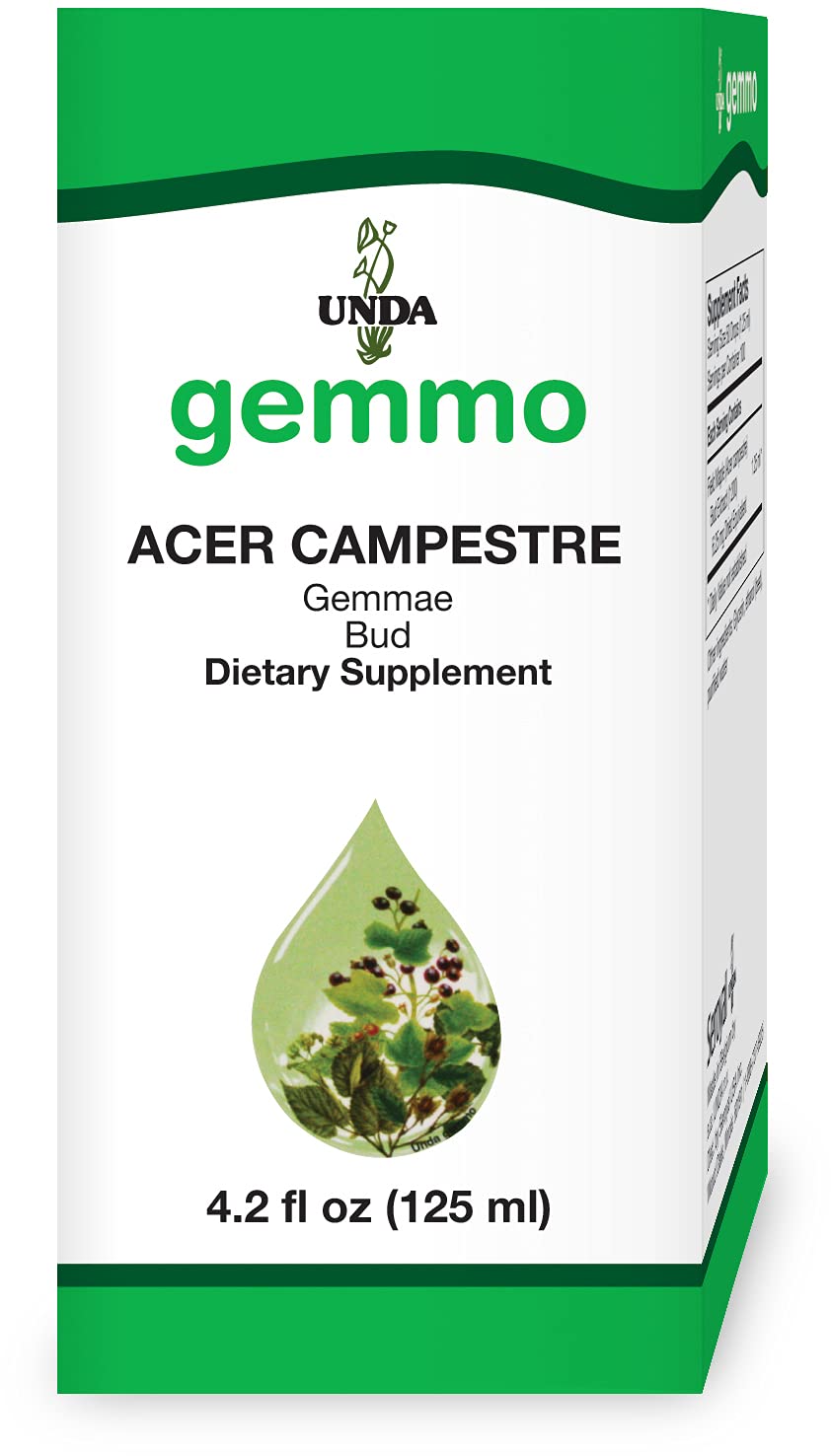 UNDA Gemmo Acer Campestre bottle front view suggesting immune and lymphatic support
