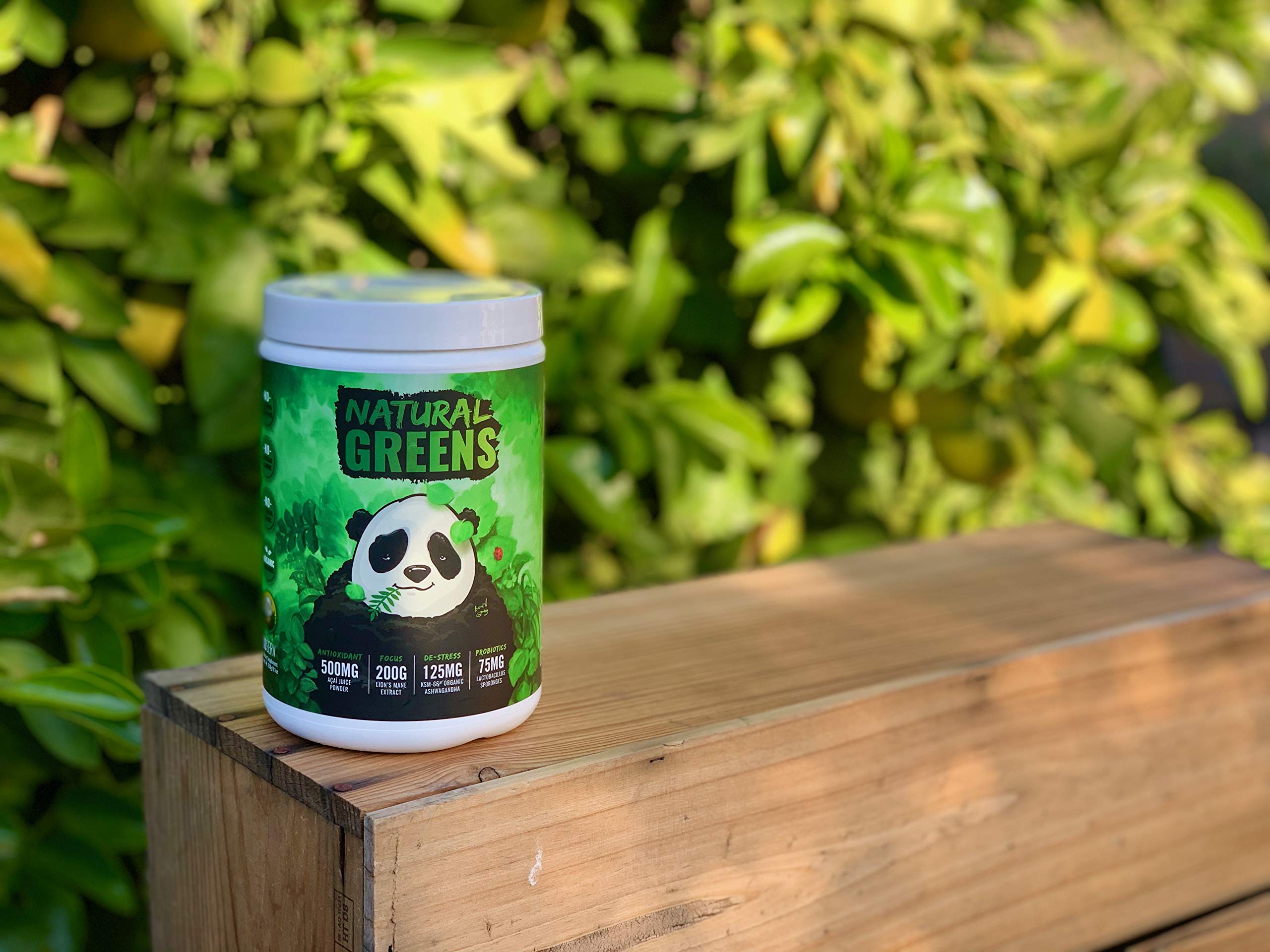 Underground Bio Labs Panda Supps Lions Mane jar enhances focus and clarity.