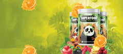 Panda Supps probiotic enzymes jar suggesting digestion support and daily wellness.