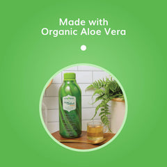 Univera Aloe Select Mango glass ready to sip for immune support.