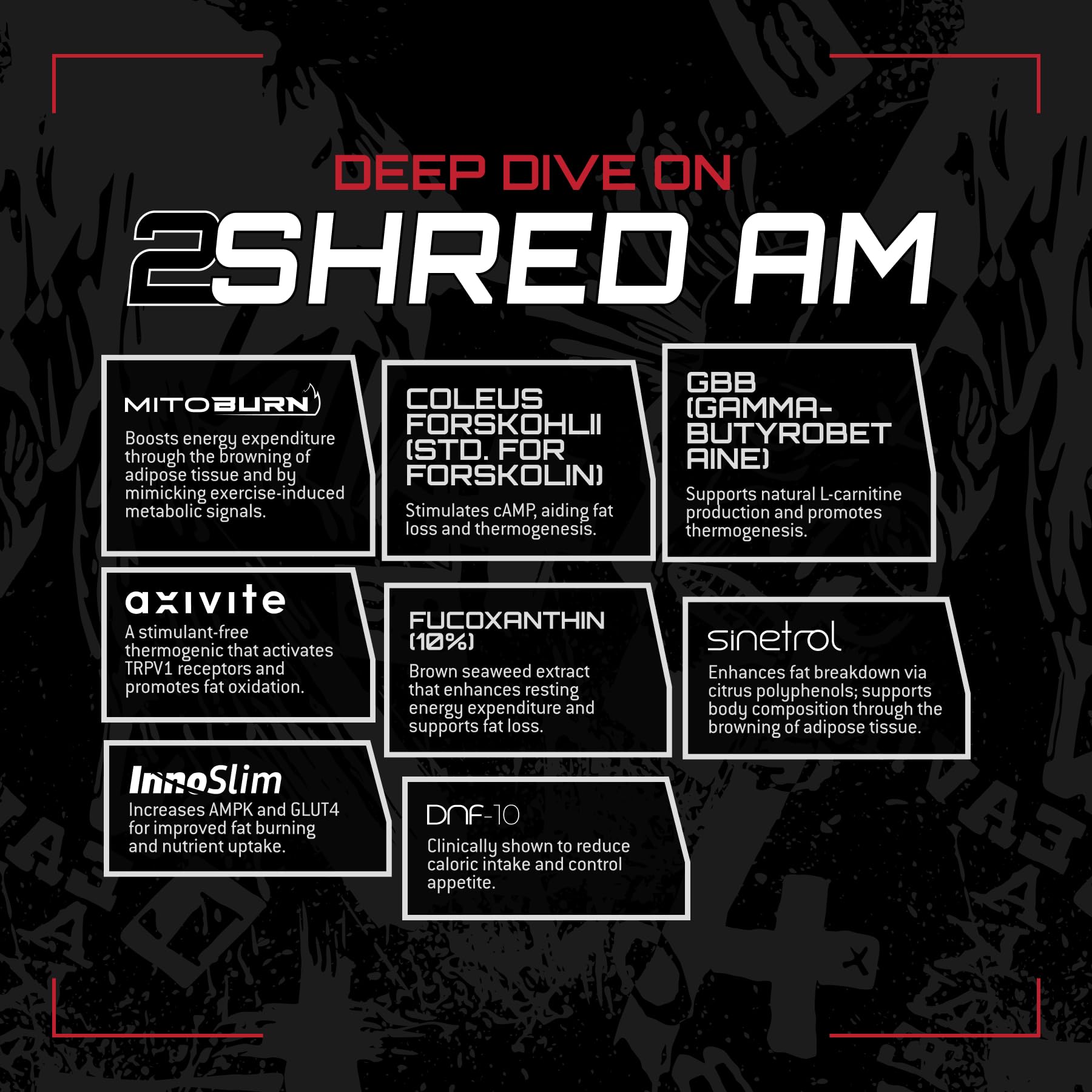 Unmatched 2Shred PM capsules closeup emphasizing stress support and nighttime fat mobilization