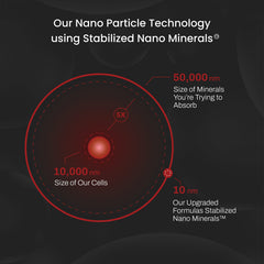 Upgraded Formulas Mood nano-mineral absorption graphic illustrating high bioavailability