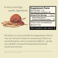 UPHORIC URTH Reishi ingredients closeup with notes on extraction