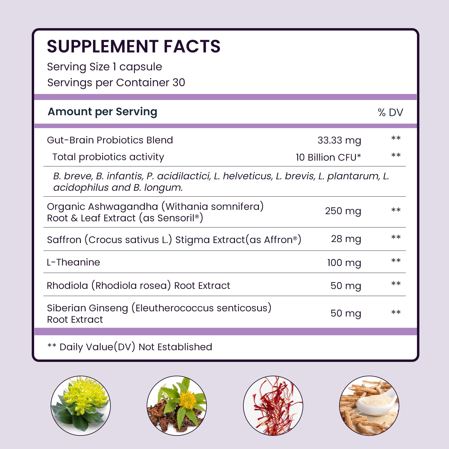 UpNourish Gut brain axis illustration highlighting microbiome and mood hormones.