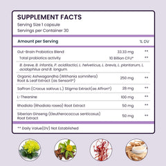 UpNourish Gut brain axis illustration highlighting microbiome and mood hormones.