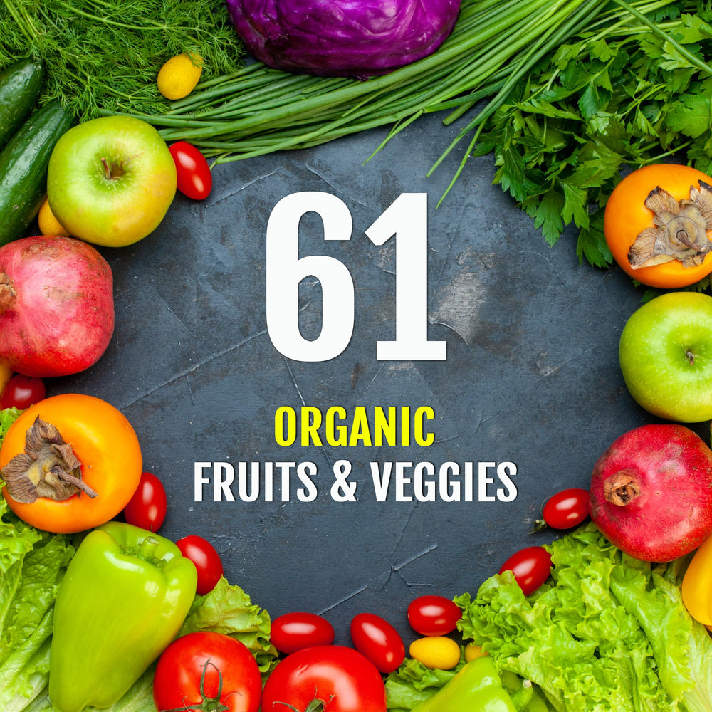 UpNourish organic-fruits-vegetables capsules close-up highlights clean formula