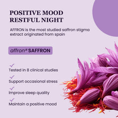 UpNourish Probiotics blend illustrating gut-brain axis for mood balance.