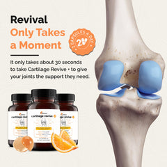 UpWellness Cartilage Revive MSM, supporting overall joint wellness and flexibility.