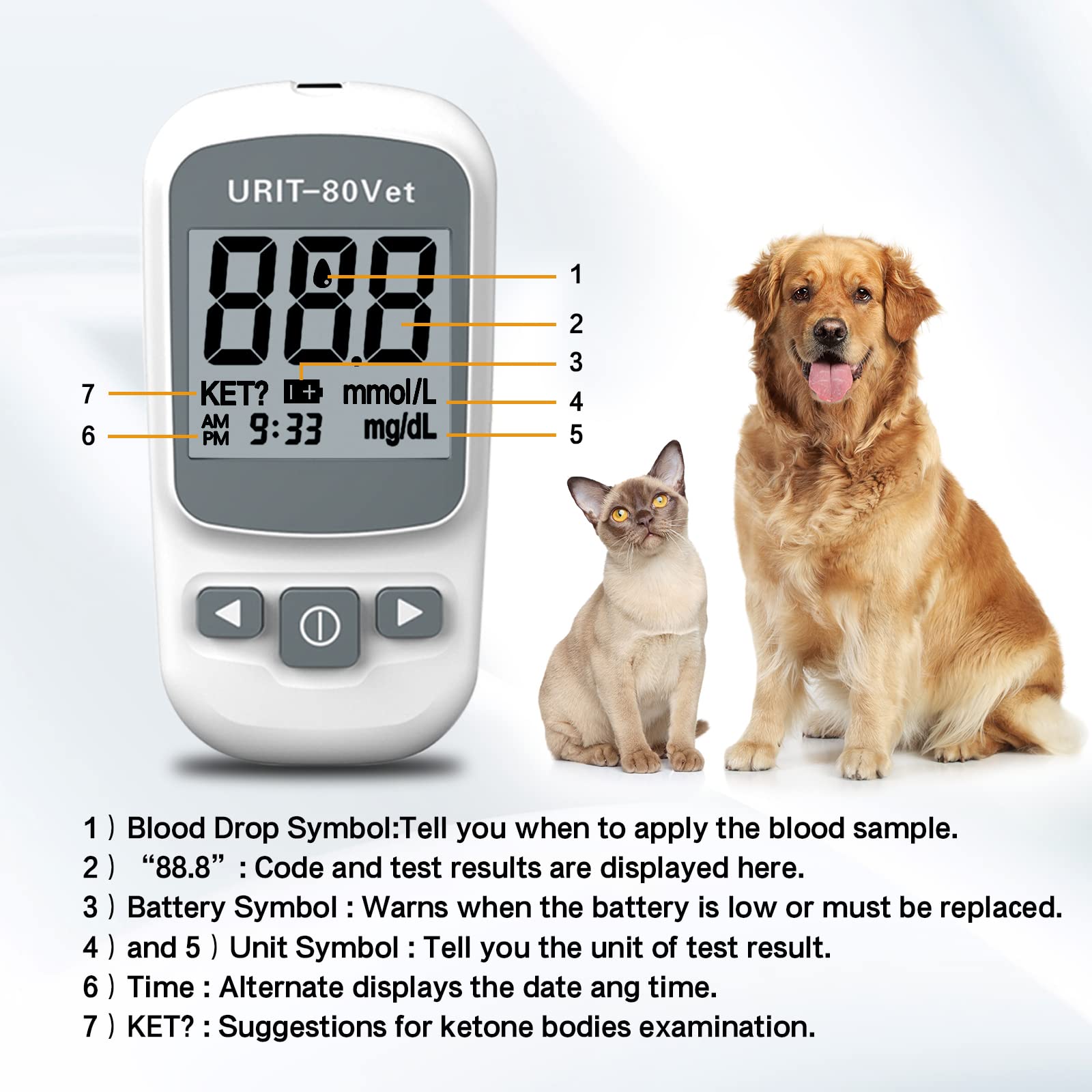 URIT-80Vet complete kit contents for convenient pet glucose testing